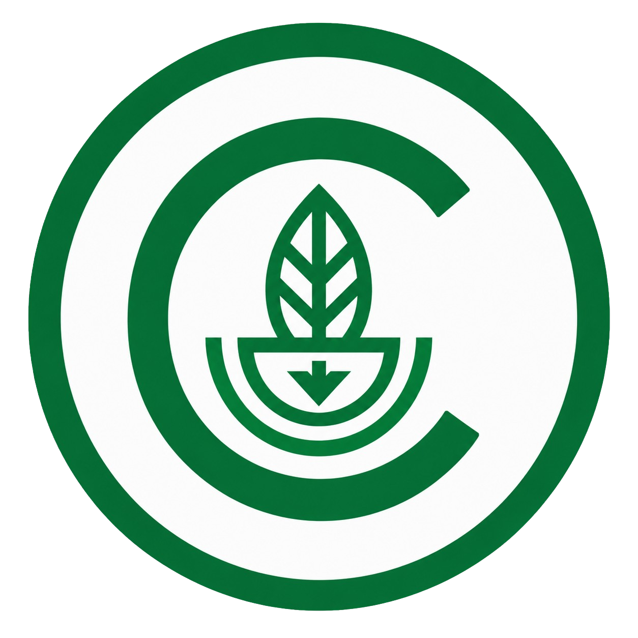 Catalina Token